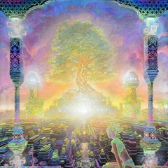 Psydubedelic Adventure