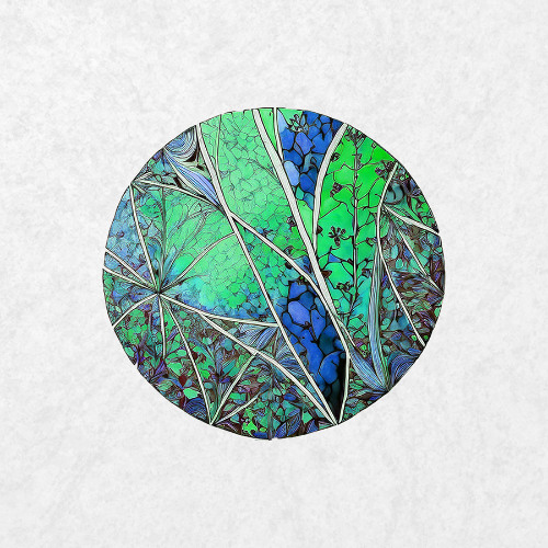 Select Cuts 379: Robin M
