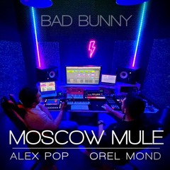 Bad Bunny - Moscow Mule (Alex Pop - Orel Mond) // remix tech //