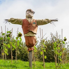 Scarecrow