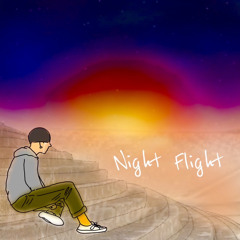 Night flight
