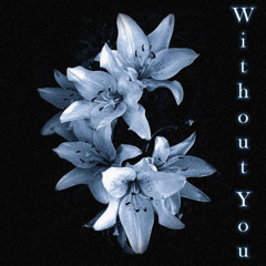 Without You