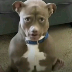 SAGE prod sagesotoxic