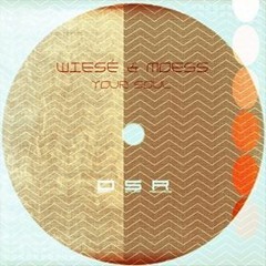 Wiesé & Moess - Your Soul (Original Mix)** snippet