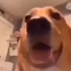 Emotional Beat 140BPM "Stacks"