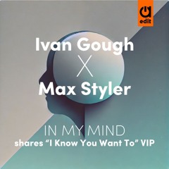 Ivan Gough x Max Styler - In My Mind (shares 'I Know You Want To' VIP)