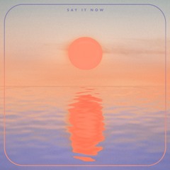 ARAI & Smooth Monkey – Say It Now