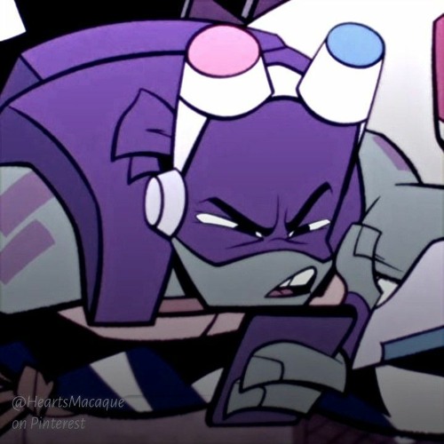 rottmnt \ \ \ donnie's rap / mystic library rap