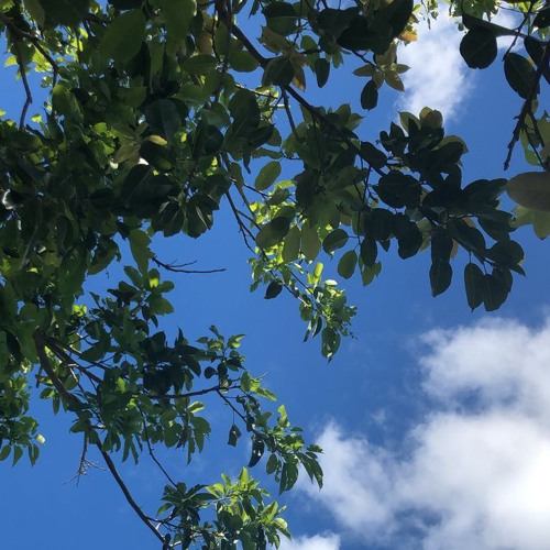 اواخر سورة مريم | عبدالرحمن مسعد