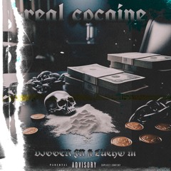 real cocaine - Silf m FT digger fm