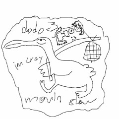 dodo (Prod. 50g x roxa)