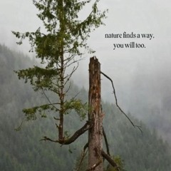 HowlingCave...zMidnight_pluto...