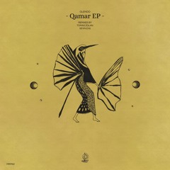 Olendo - Qamar