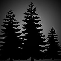 Valerie lost in the forest