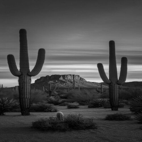 [FREE]DARK FORCE TYPE BEAT - DESERT