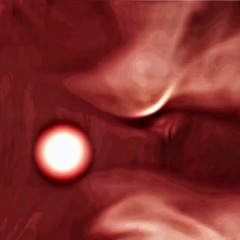 Longevity, Part 6: The Samu Directive