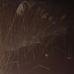 dontcry @80hd80hd80hd