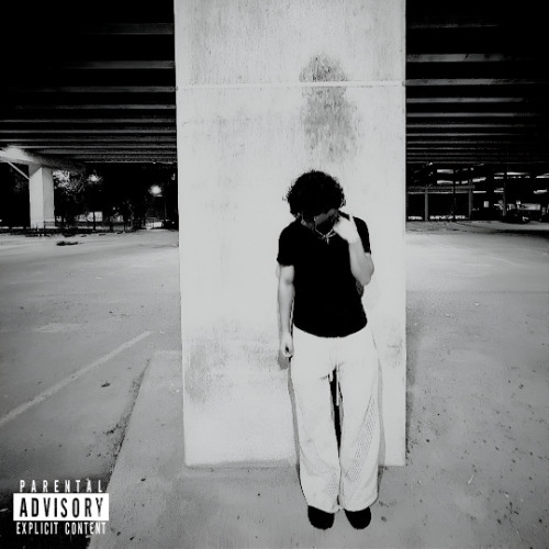 STEPPIN prod. taurs