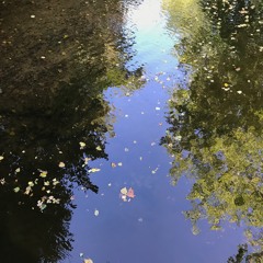 Mental Noting Meditation (15 min)