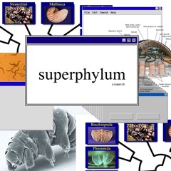 superphylum