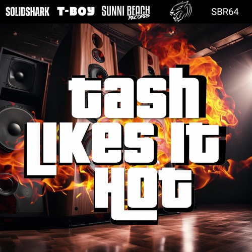 SolidShark - Tash Likes It Hot (T-Boy Remix Edit)