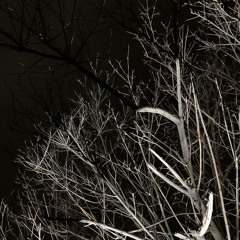 Untitled_70