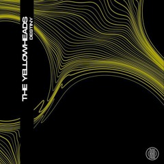 The YellowHeads - Destiny