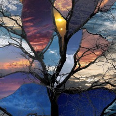 WaloHieghts - Oracle (kiddkeiji) [NEW AGE + DJ BRIEF + ALL GAS RADIO]