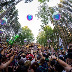Levity Electric Forest 2024 - Honeycomb Set (HQ Re-creation)