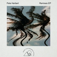 Pete Herbert - Back To Bahia Dub
