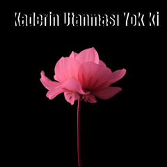 Kaderin Utanması Yok ki