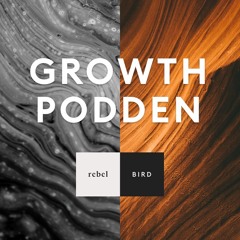 Nöjesparker kickar igång datadrivet arbetssätt