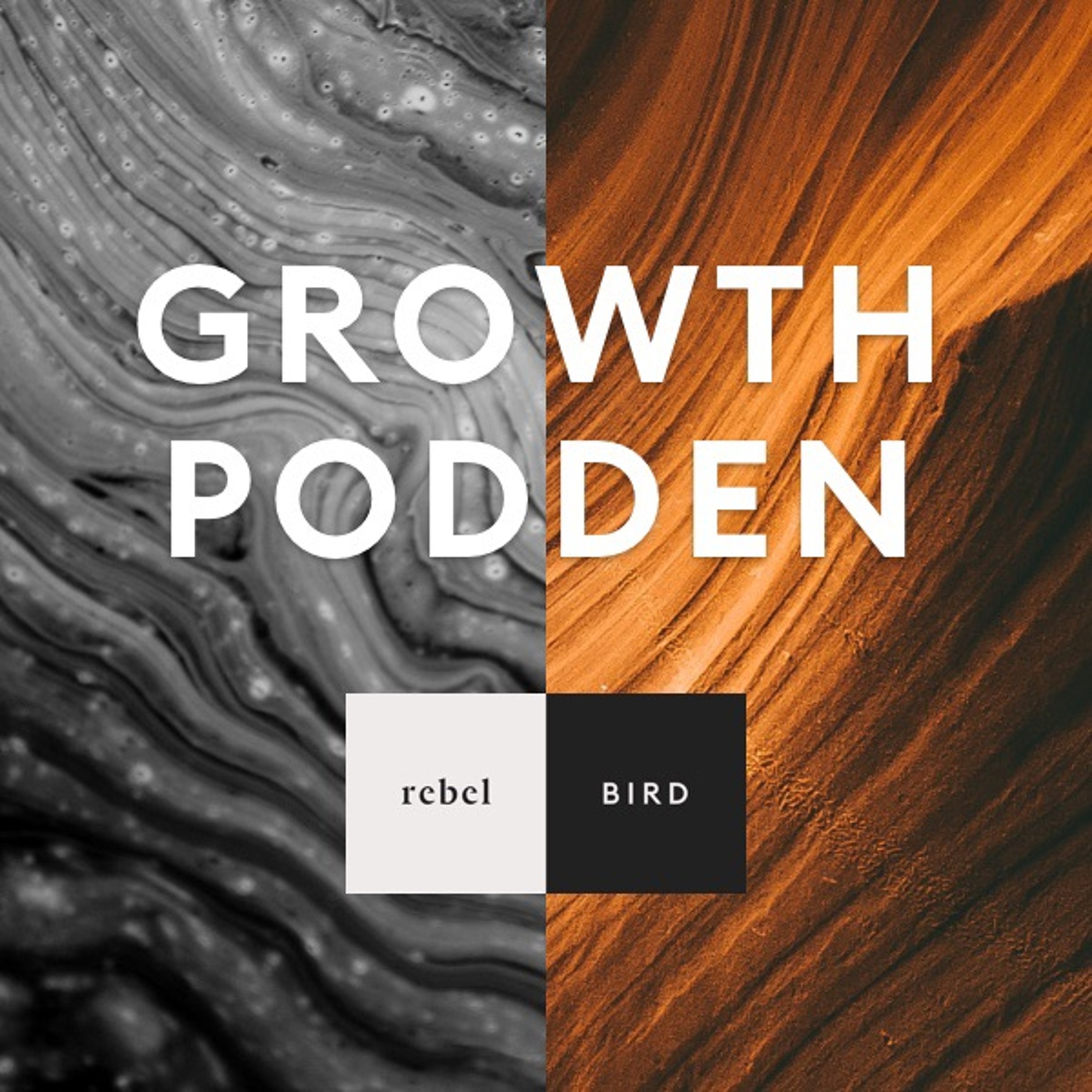 Nöjesparker kickar igång datadrivet arbetssätt