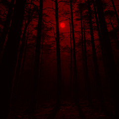 AKA MANTO - ILLUSION OF CHOICE (BLOOD MOON VIP)