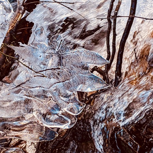 Cool wie Eis (Demo Tape)