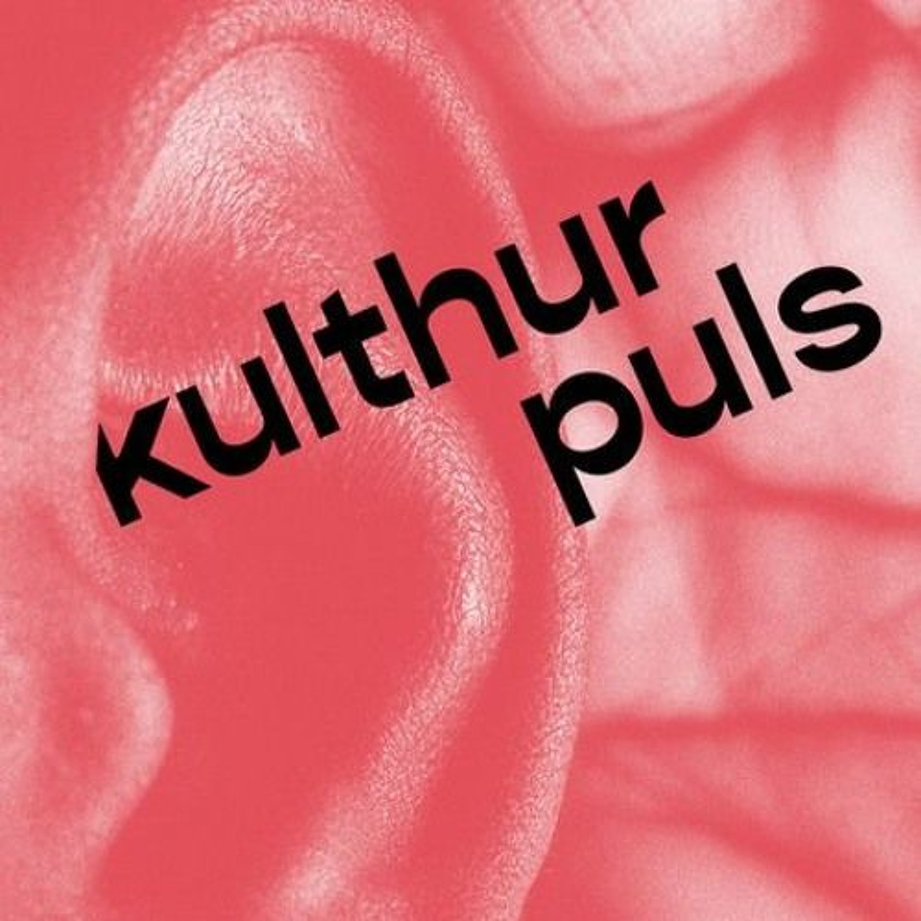 Kulthurpuls - Woran glauben wir noch? episode artwork