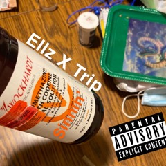 Sinnin  Ellz X Trip