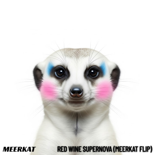 Chappell Roan - Red Wine Supernova (Meerkat Flip) - Reupload