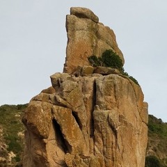 Grieving For The Gone