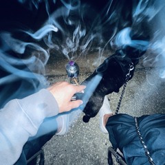 Playlist sem título