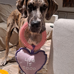 What the Hell is in Batcher's Mouth?