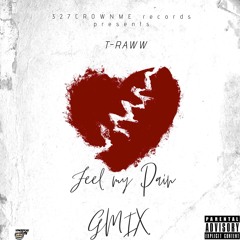 Feel My Pain x T-raww (gmix)