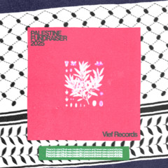 PREMIERE: Young Muscle & Shai FM - Year Of The Snake [Vief Records]