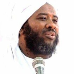 08 - سلسلة السيرة النبوية - أذى المشركين للنبي و أصحابه - شيخ محمد سيد حاج