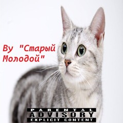 Злой кот