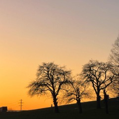 Your Smile Still Haunts - Everhits