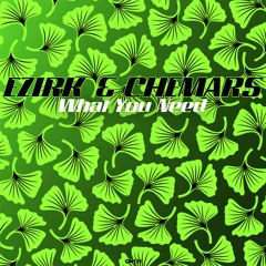 Ezirk & Chemars - What You Need