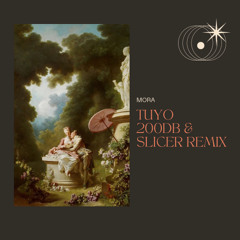 REMIXES