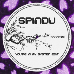 SPINDU - YOU'RE IN MY SYSTEM EDIT (FREE DOWNLOAD)