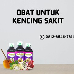 Obat Untuk Kencing Sakit Madu KMK (0812-8546-7811)